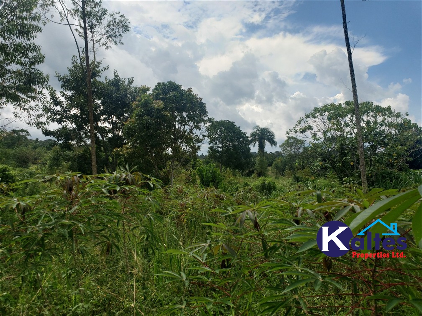 Agricultural Land for sale in Kasokoso Buyikwe