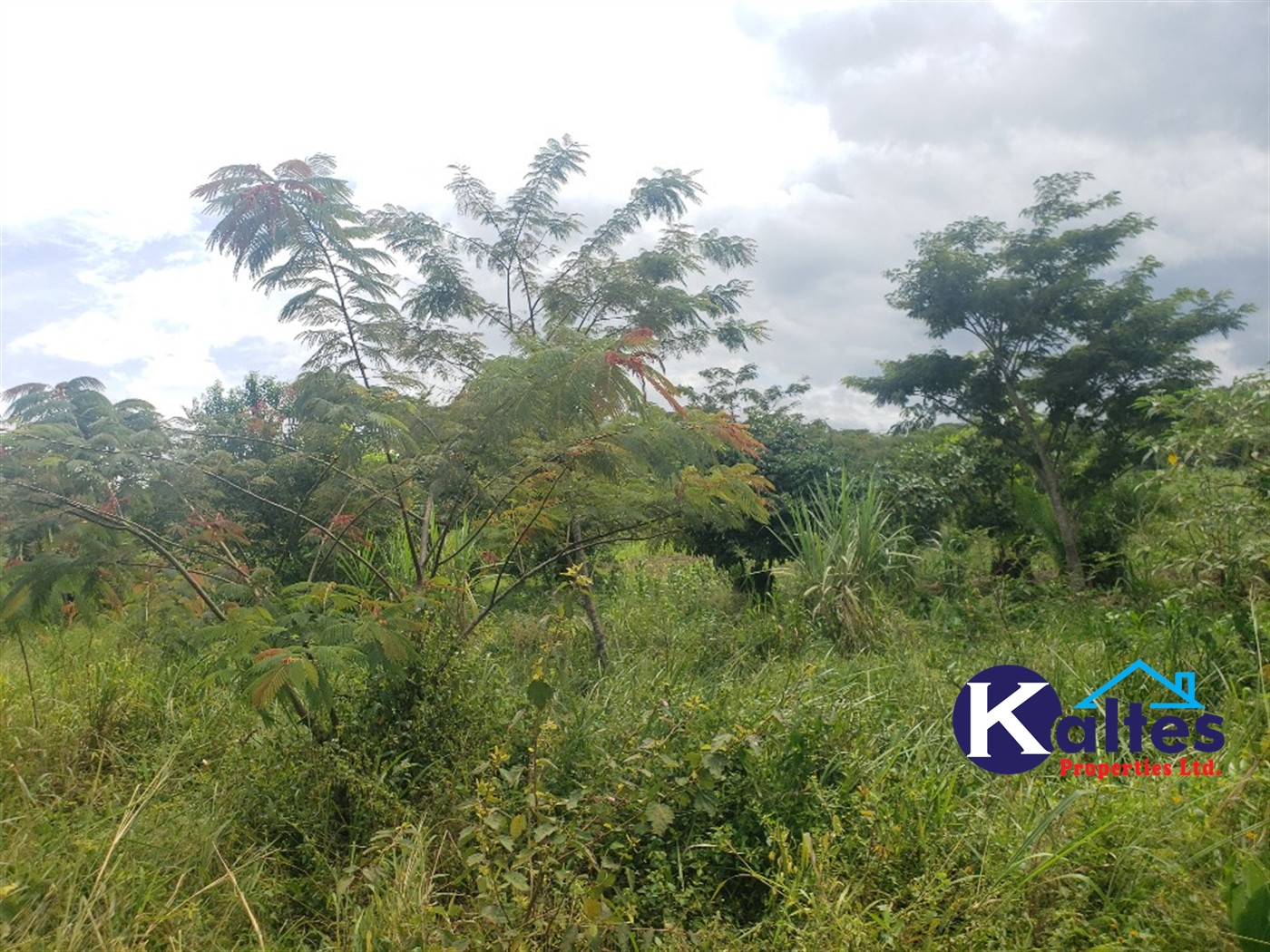 Agricultural Land for sale in Kasokoso Buyikwe
