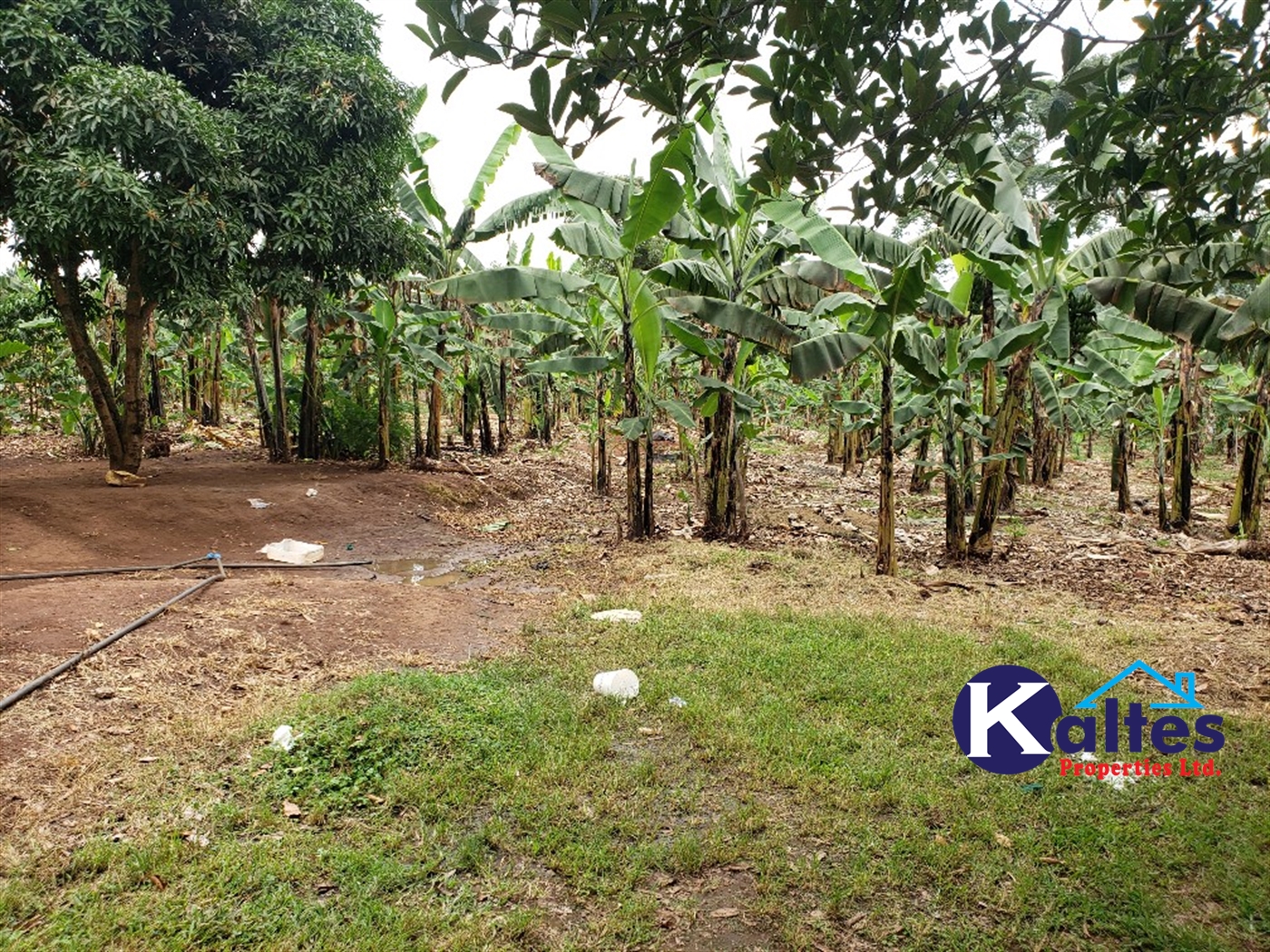 Residential Land for sale in Kikandwa Mukono