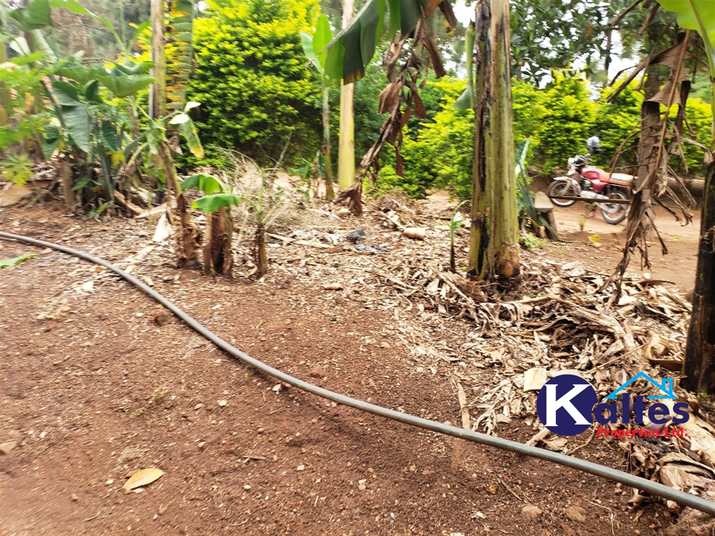 Residential Land for sale in Kikandwa Mukono