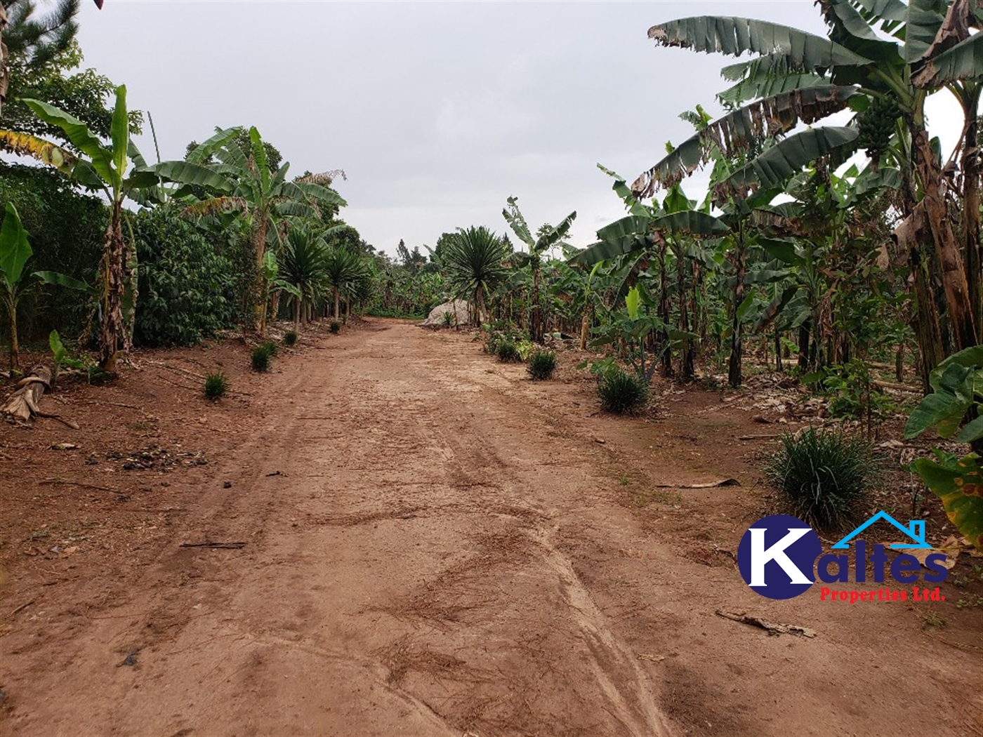 Residential Land for sale in Kikandwa Mukono