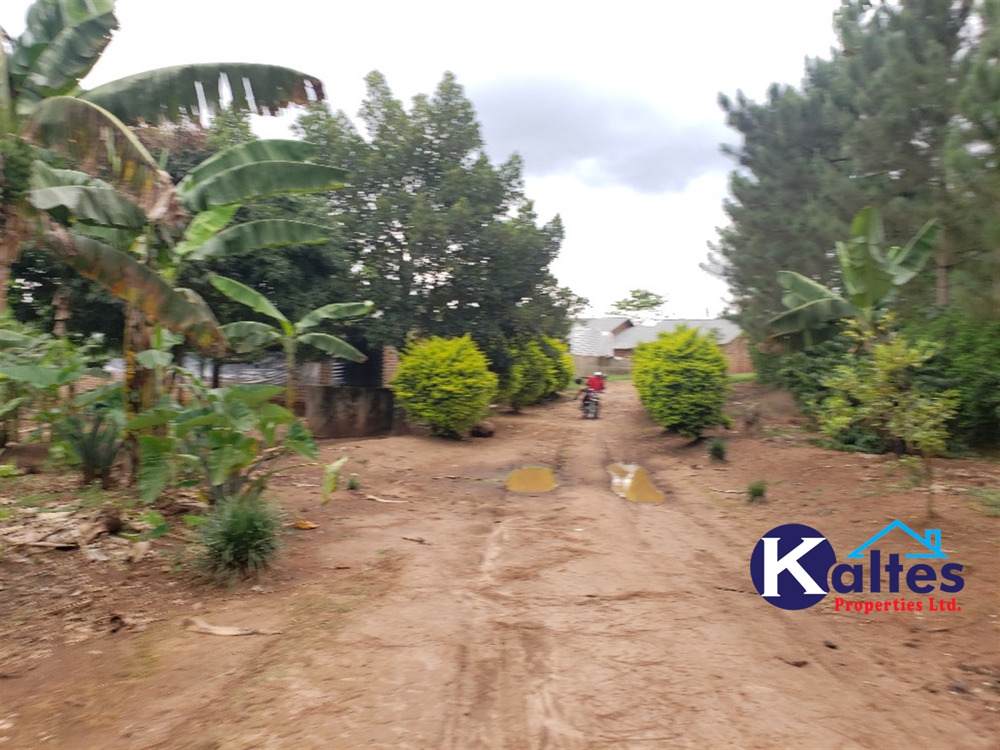 Residential Land for sale in Kikandwa Mukono