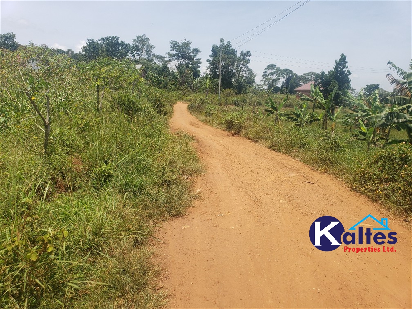 Residential Land for sale in Kikandwa Mukono