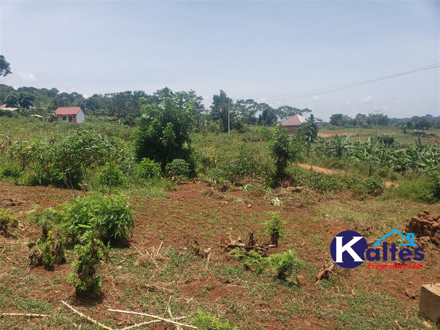 Residential Land for sale in Kikandwa Mukono