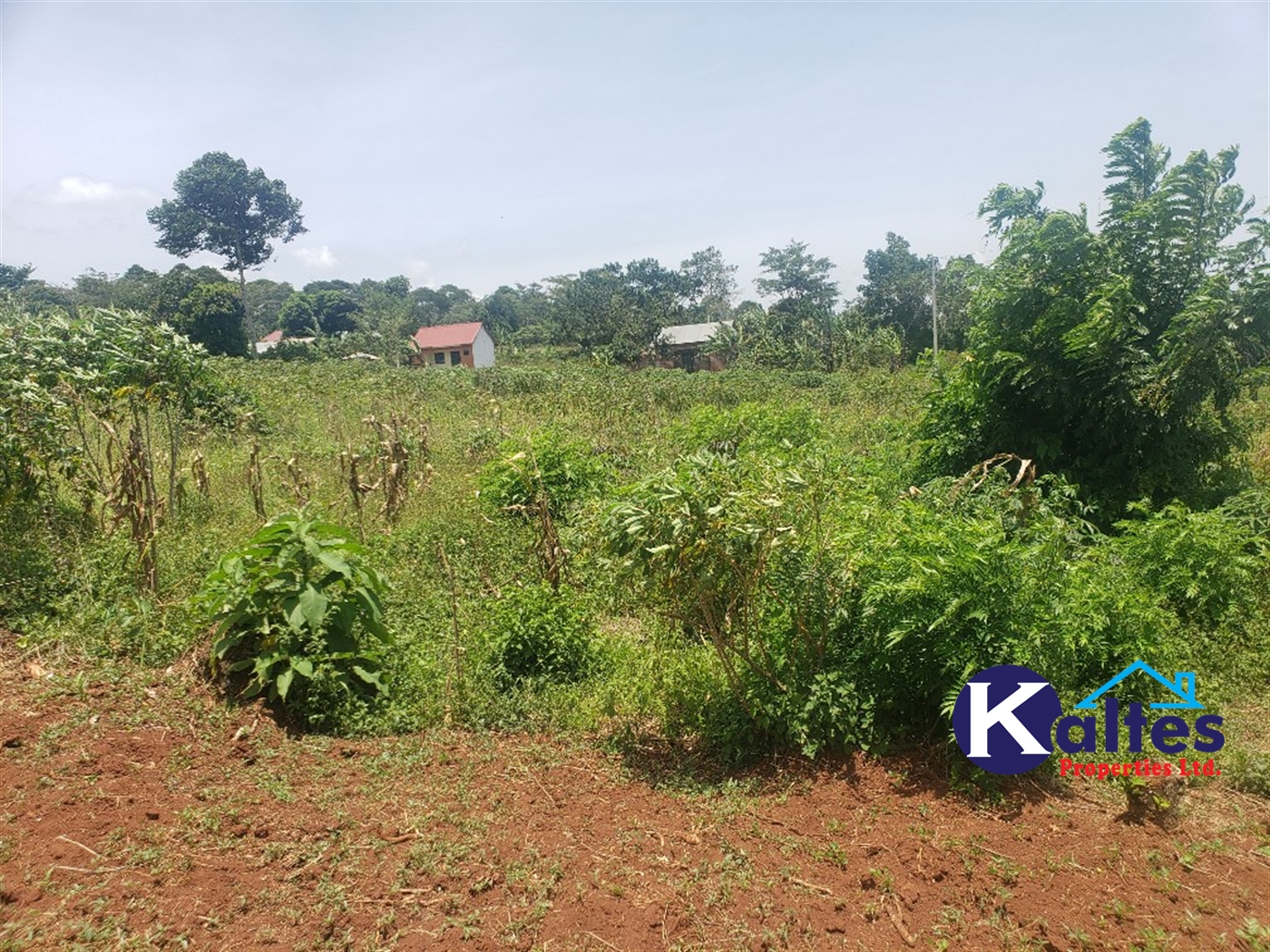 Residential Land for sale in Kikandwa Mukono