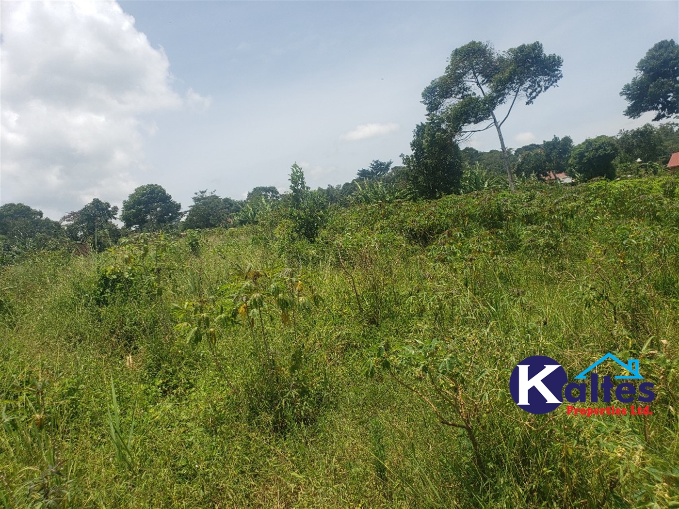Residential Land for sale in Namirembe Mukono