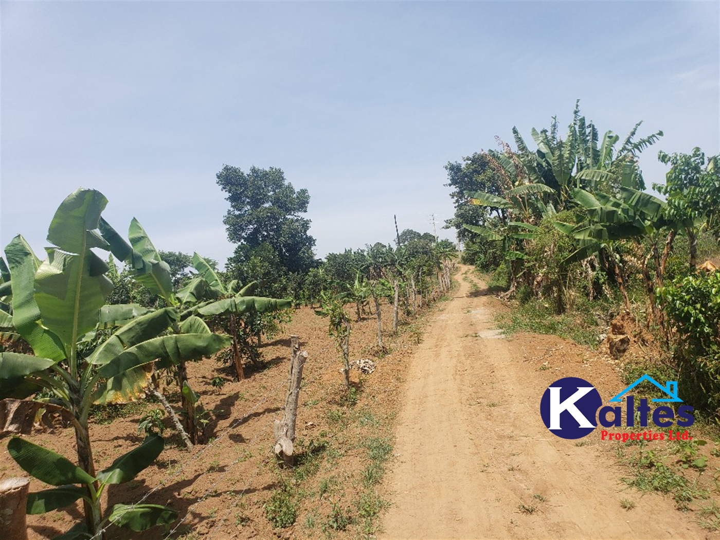 Residential Land for sale in Namirembe Mukono