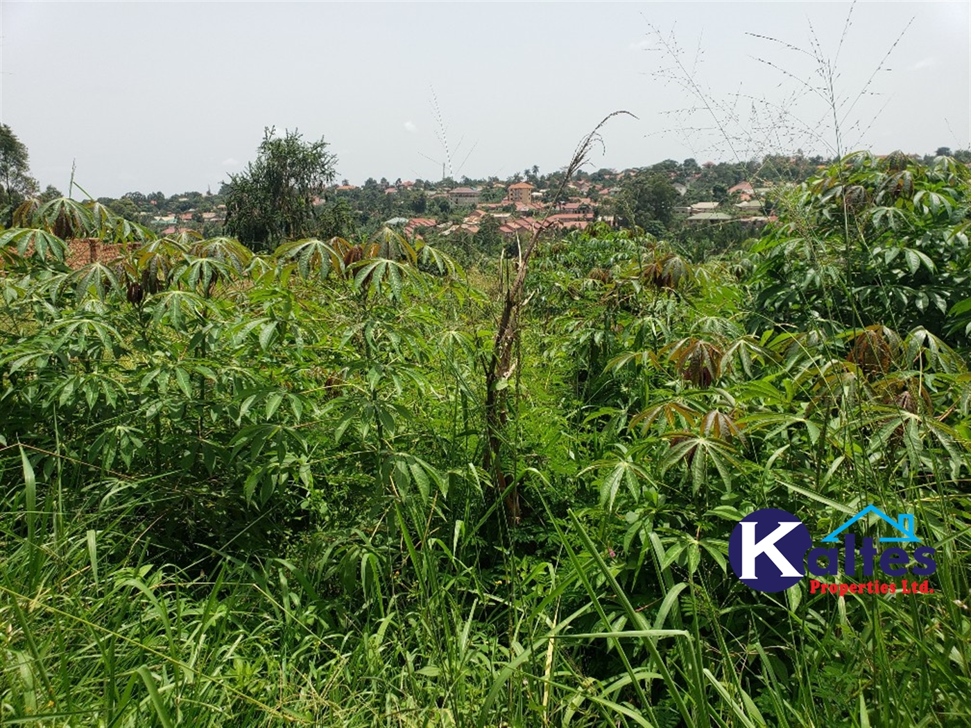 Residential Land for sale in Namirembe Mukono