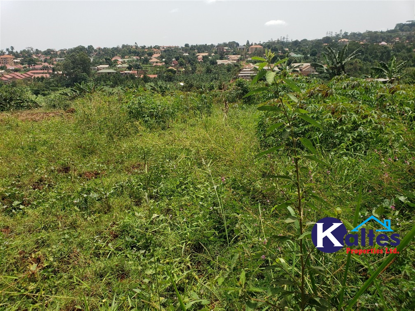 Residential Land for sale in Namirembe Mukono