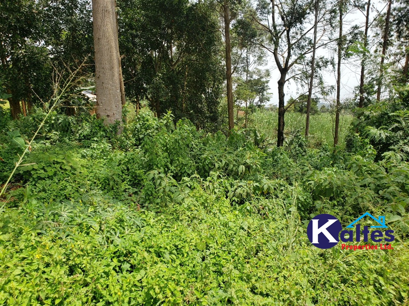 Residential Land for sale in Namirembe Mukono