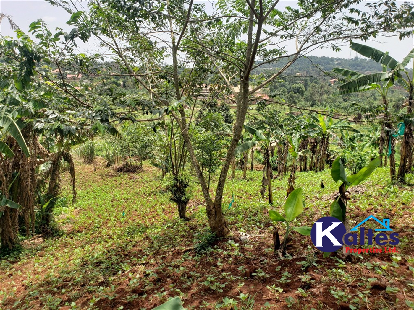 Residential Land for sale in Mbaliga Mukono