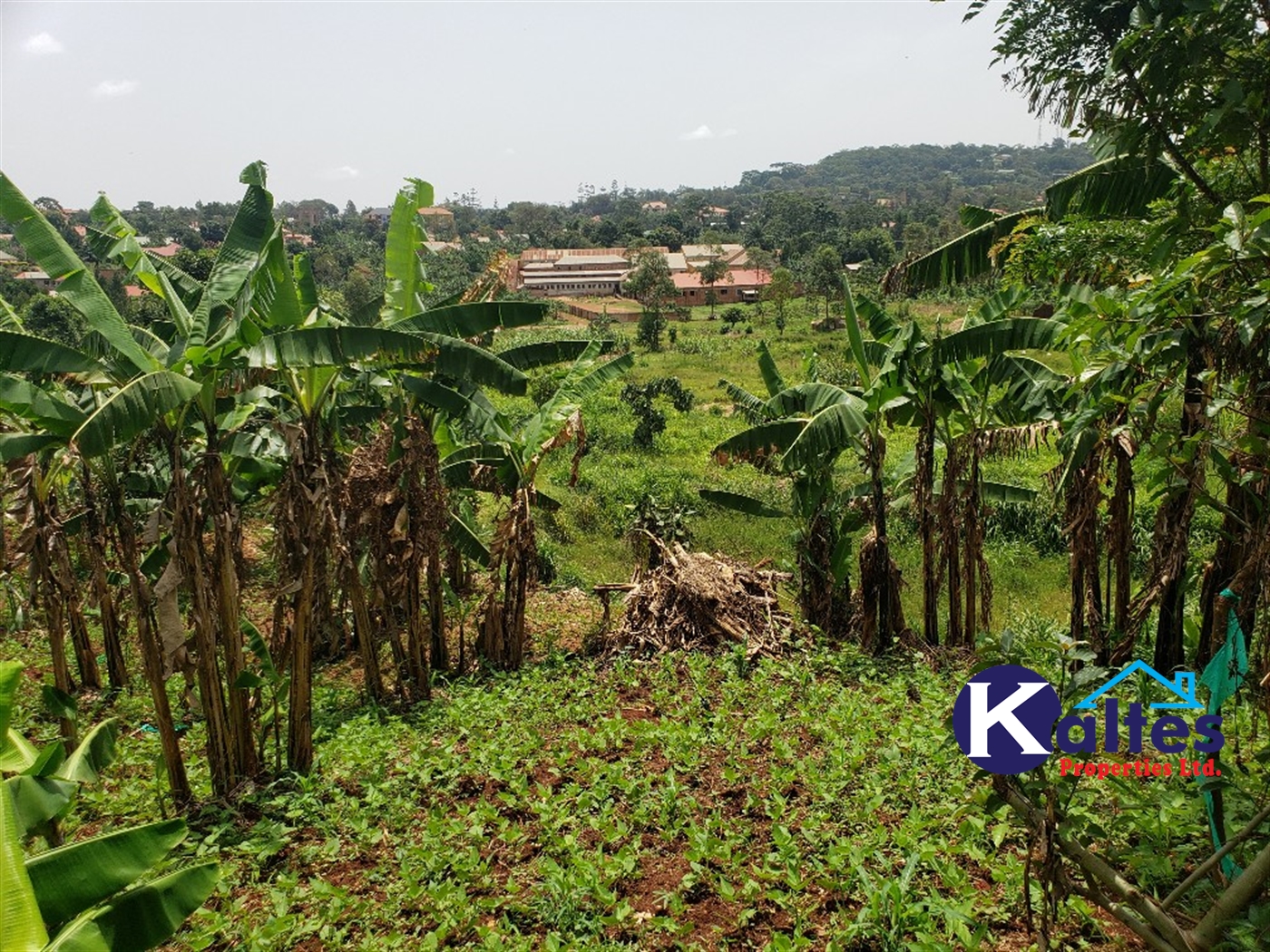 Residential Land for sale in Mbaliga Mukono