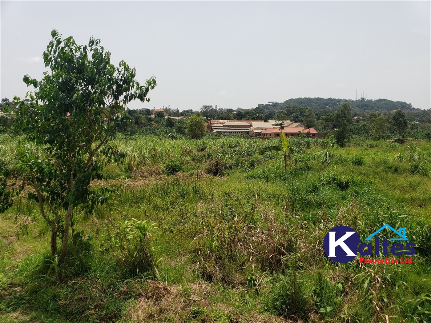 Residential Land for sale in Mbaliga Mukono