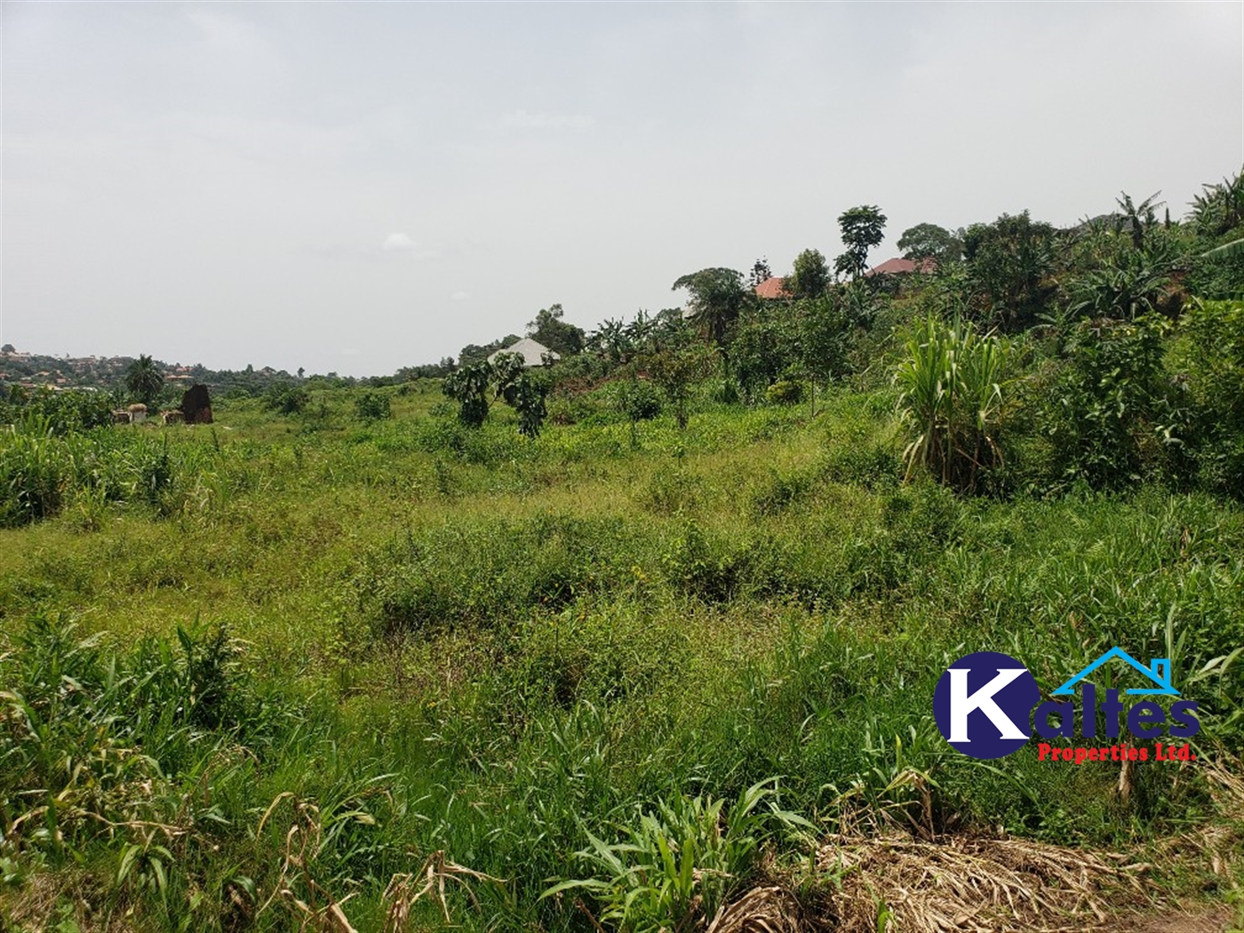 Residential Land for sale in Mbaliga Mukono