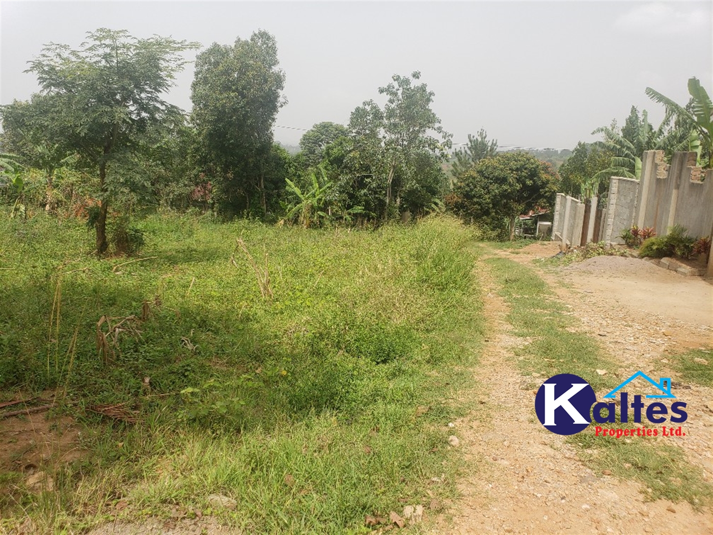 Residential Land for sale in Lugamba Mukono