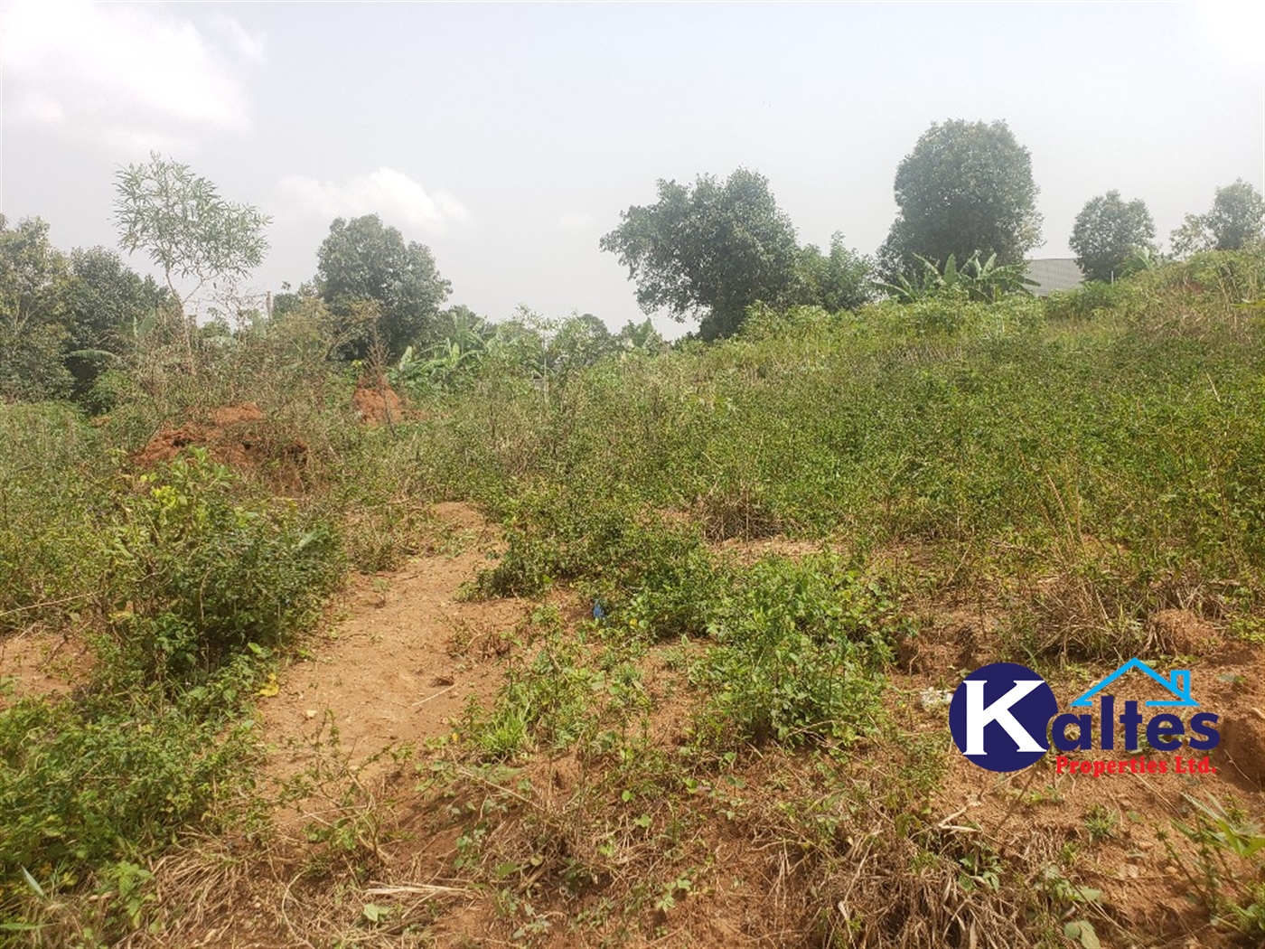 Residential Land for sale in Lugamba Mukono