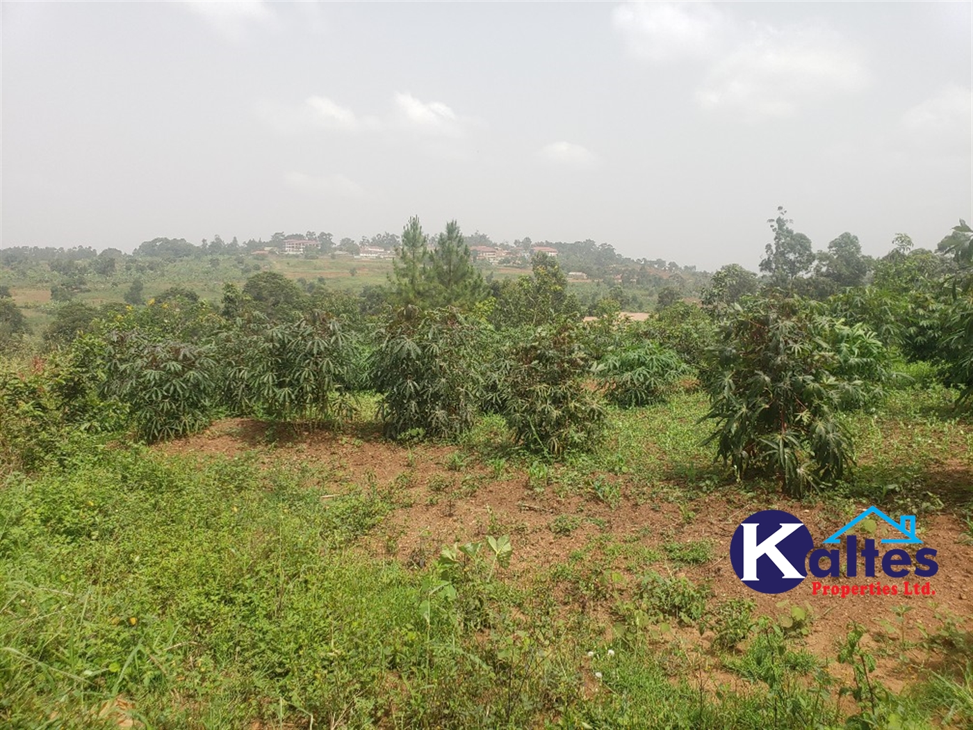 Residential Land for sale in Lugamba Mukono