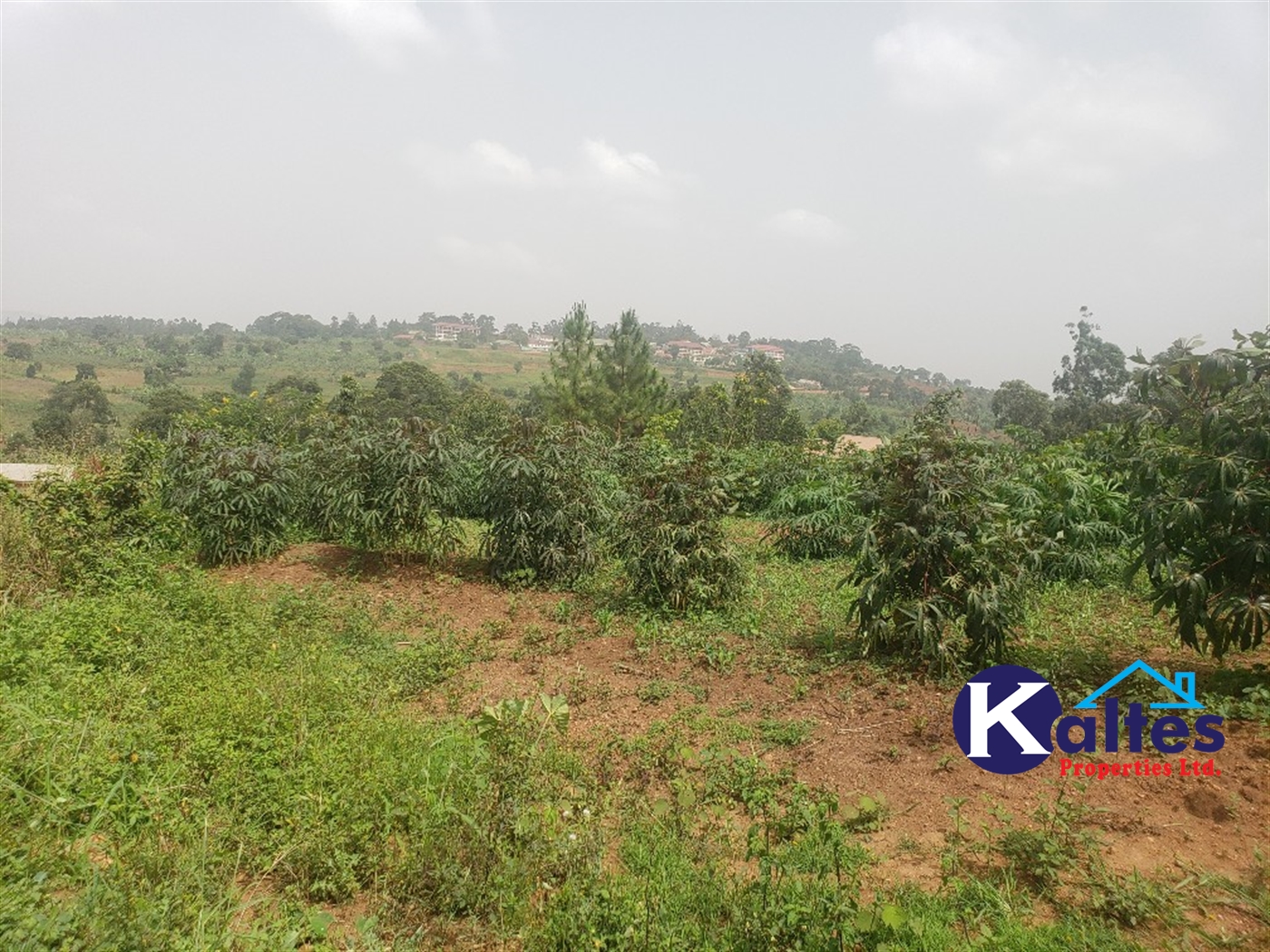 Residential Land for sale in Lugamba Mukono