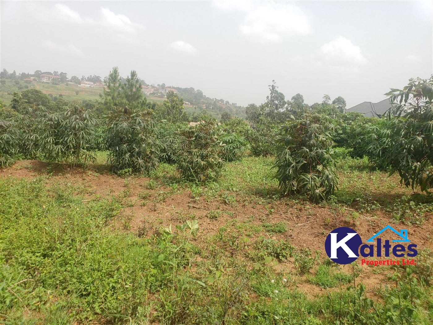 Residential Land for sale in Lugamba Mukono