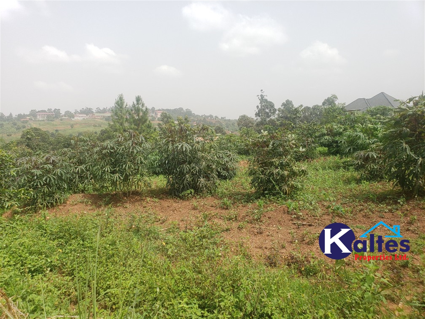 Residential Land for sale in Lugamba Mukono