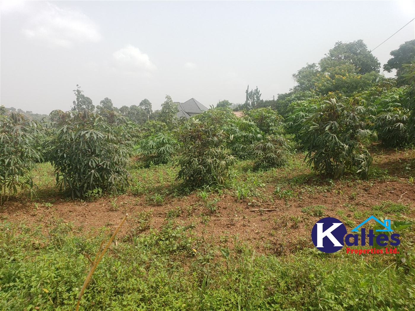 Residential Land for sale in Lugamba Mukono