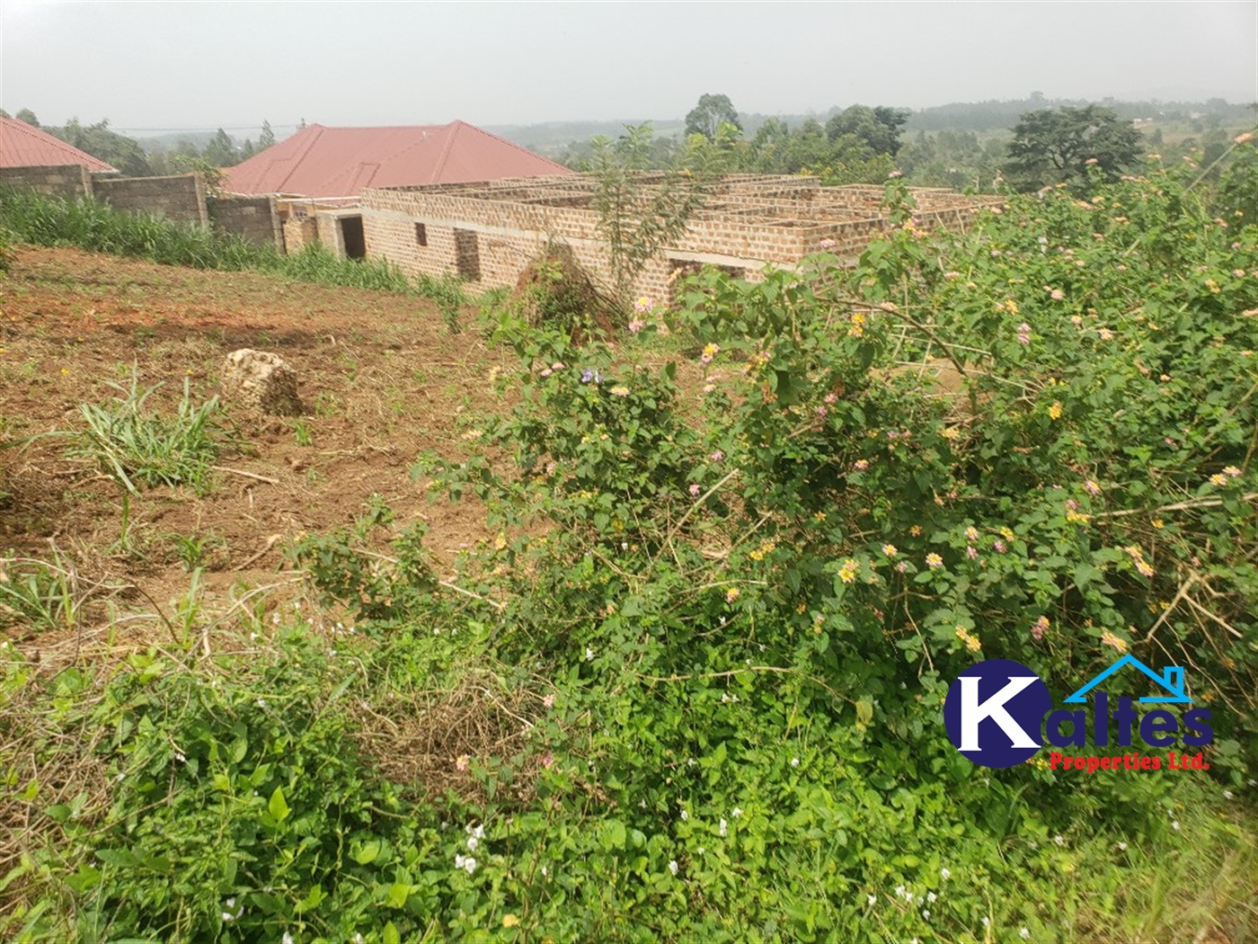 Residential Land for sale in Kakoola Mukono