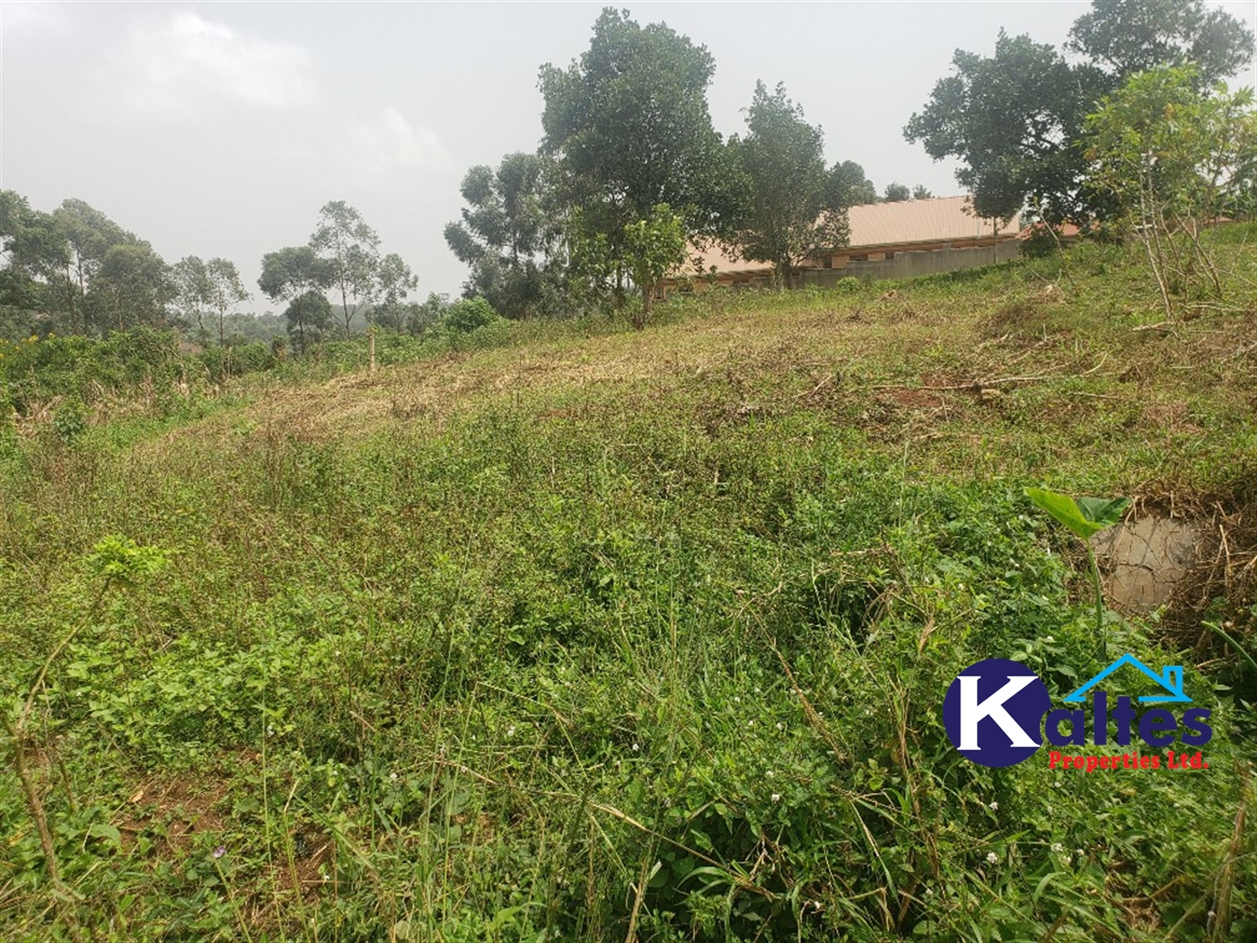 Residential Land for sale in Kakoola Mukono