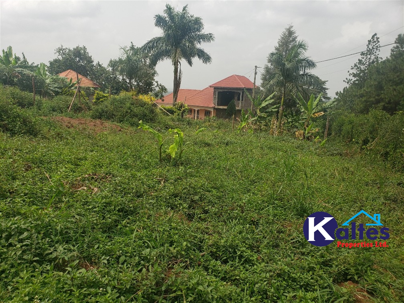 Residential Land for sale in Kakoola Mukono