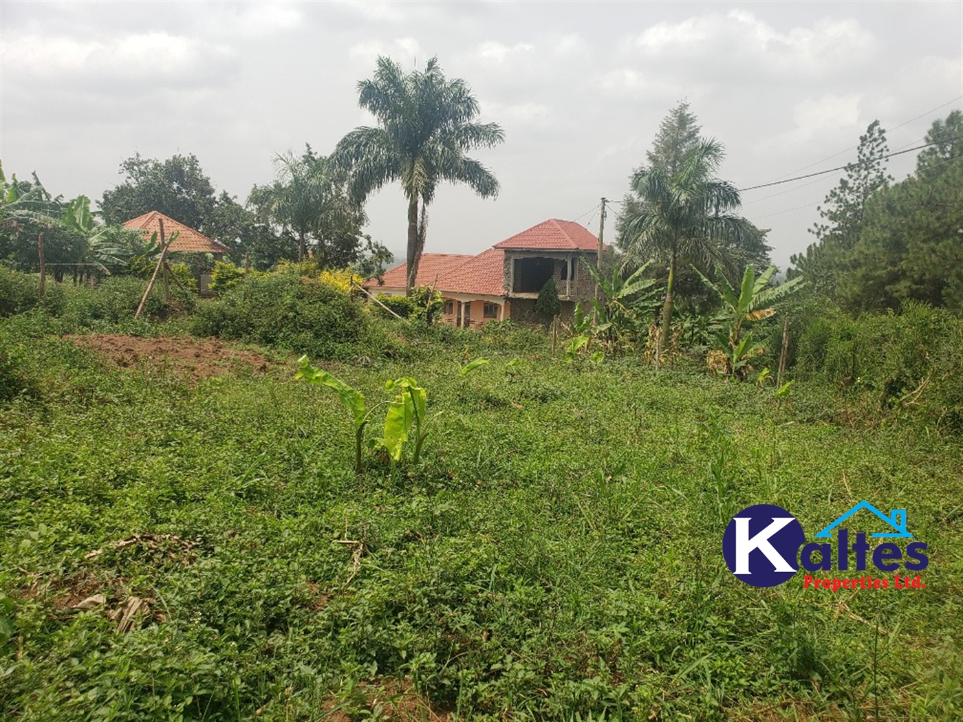 Residential Land for sale in Kakoola Mukono