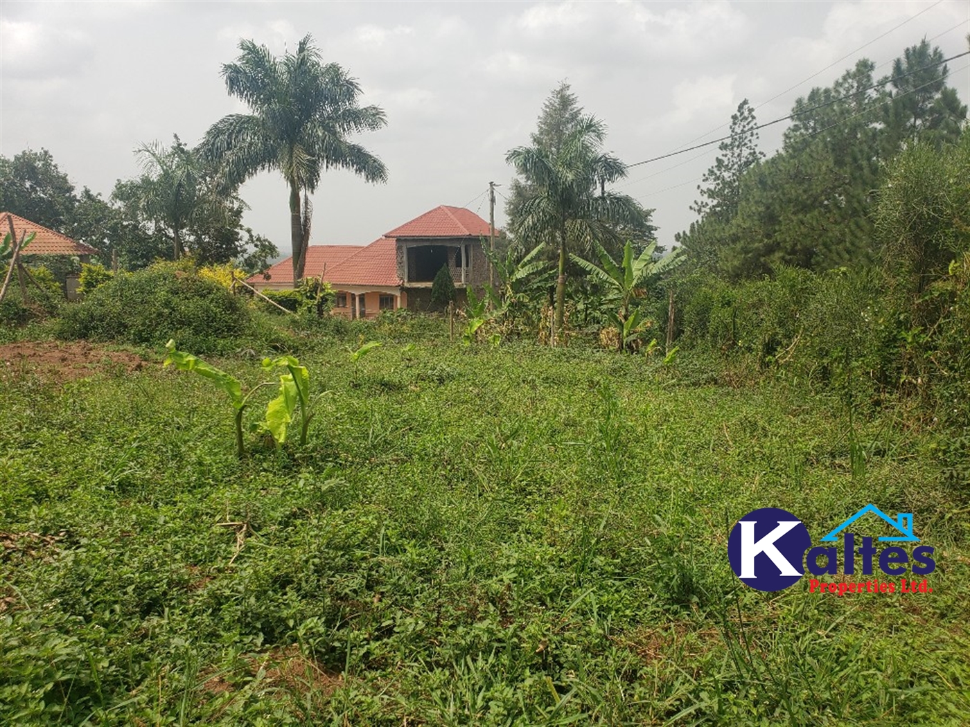 Residential Land for sale in Kakoola Mukono