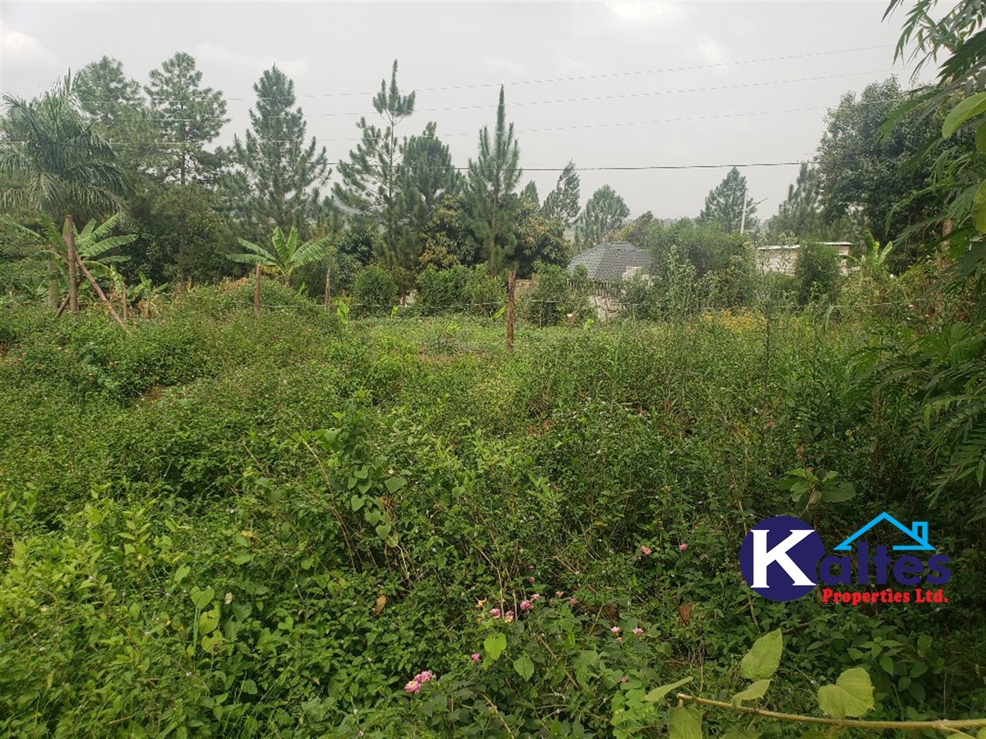 Residential Land for sale in Kakoola Mukono