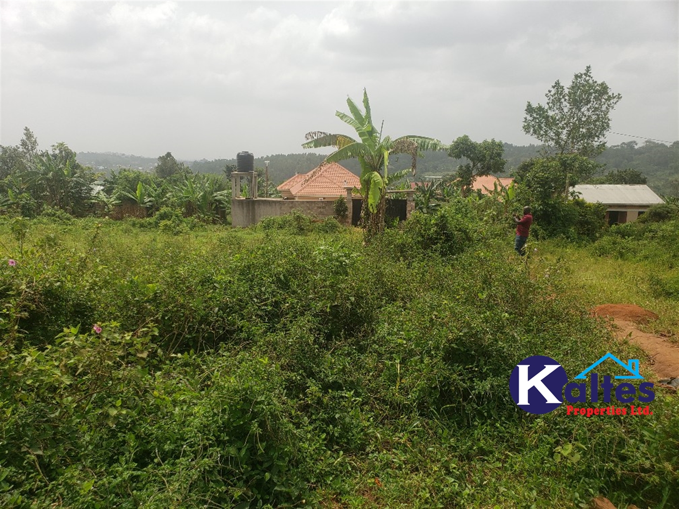 Residential Land for sale in Kakoola Mukono