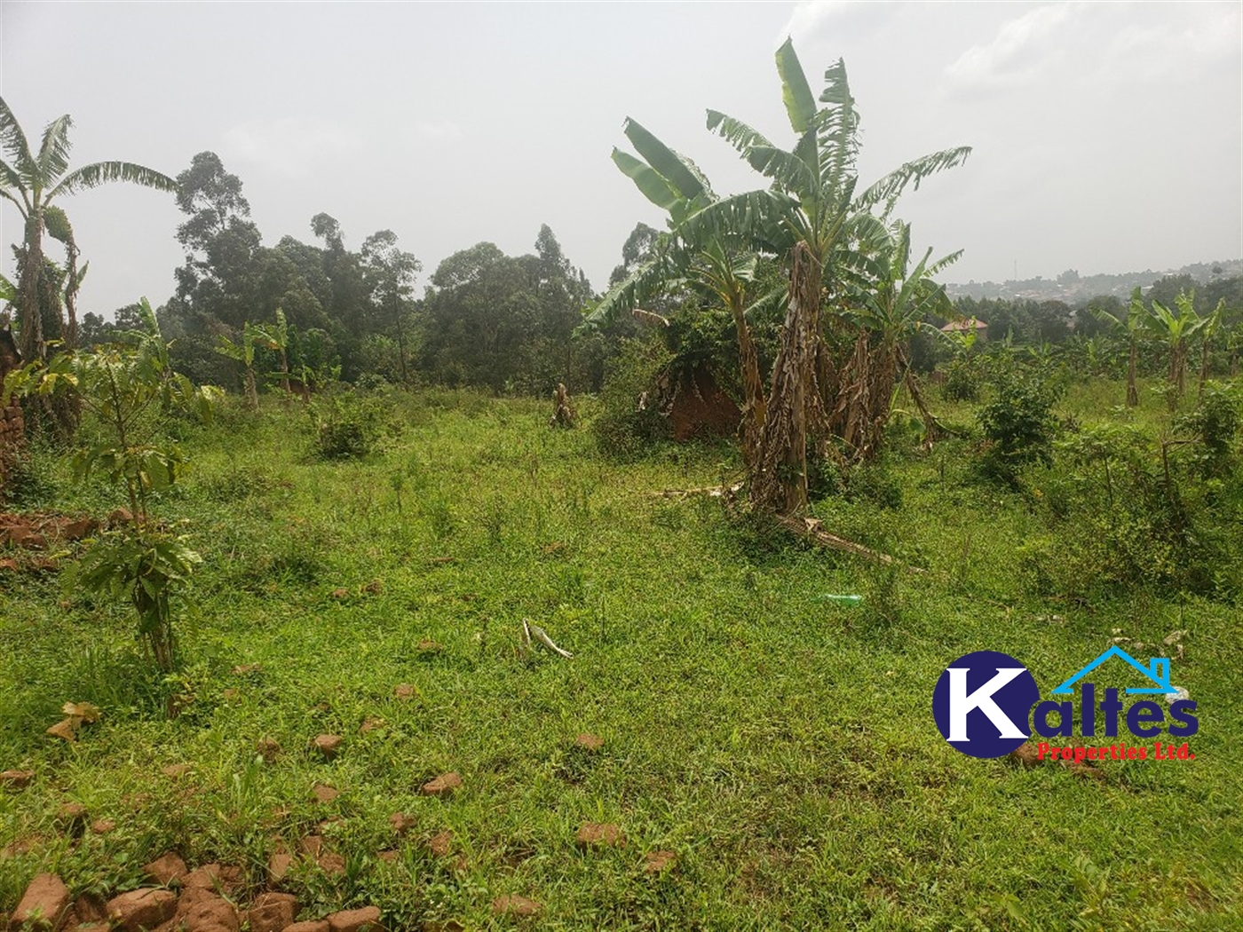 Residential Land for sale in Kakoola Mukono