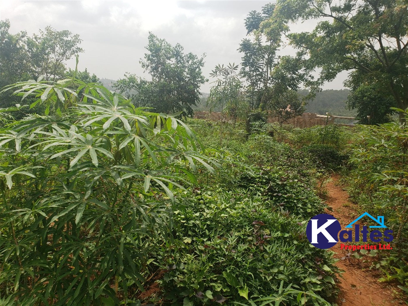 Residential Land for sale in Kakoola Mukono