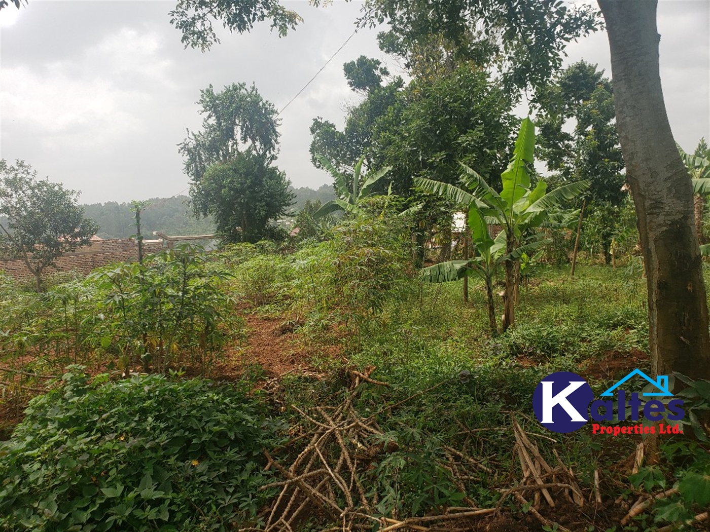 Residential Land for sale in Kakoola Mukono