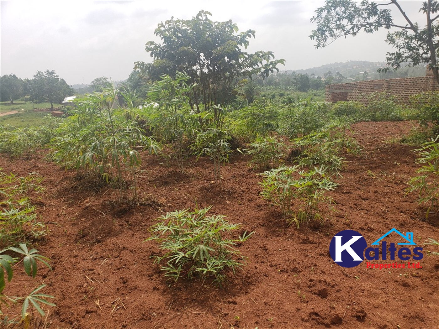 Residential Land for sale in Kwaaba Mukono