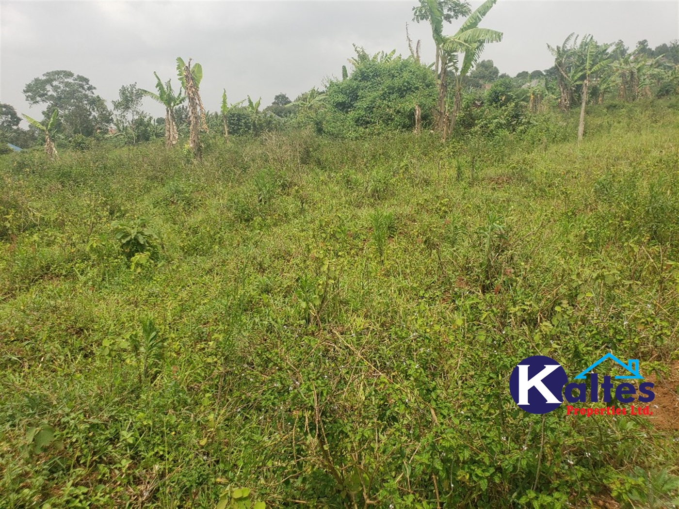 Residential Land for sale in Kwaaba Mukono