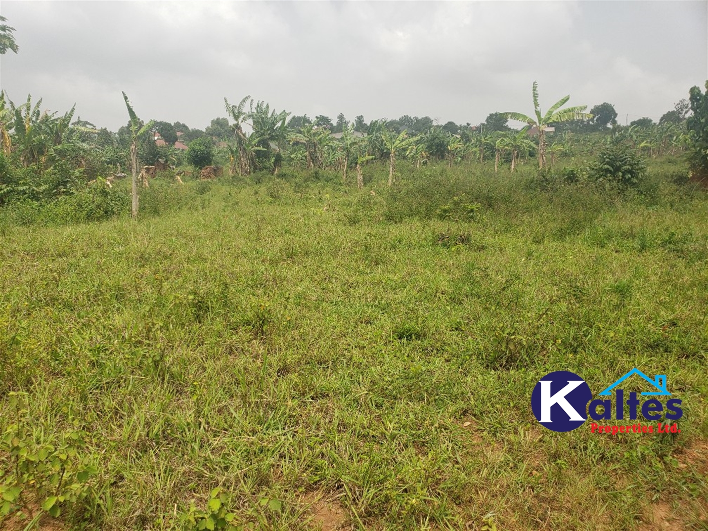 Residential Land for sale in Kwaaba Mukono