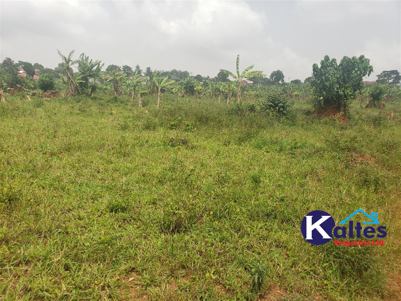 Residential Land for sale in Kwaaba Mukono