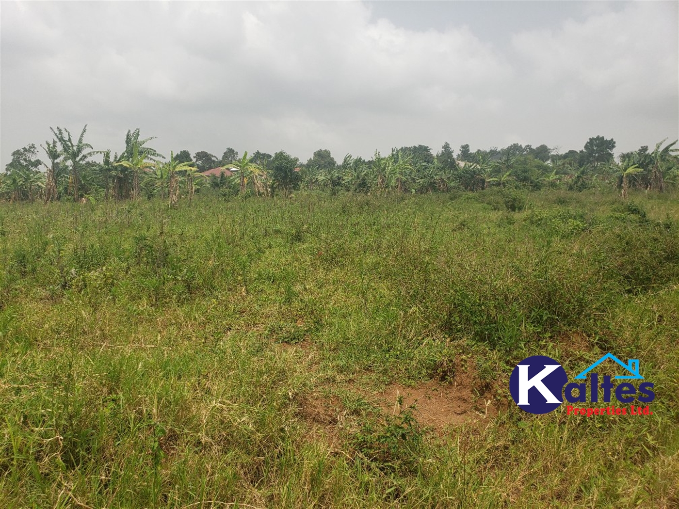 Residential Land for sale in Kwaaba Mukono