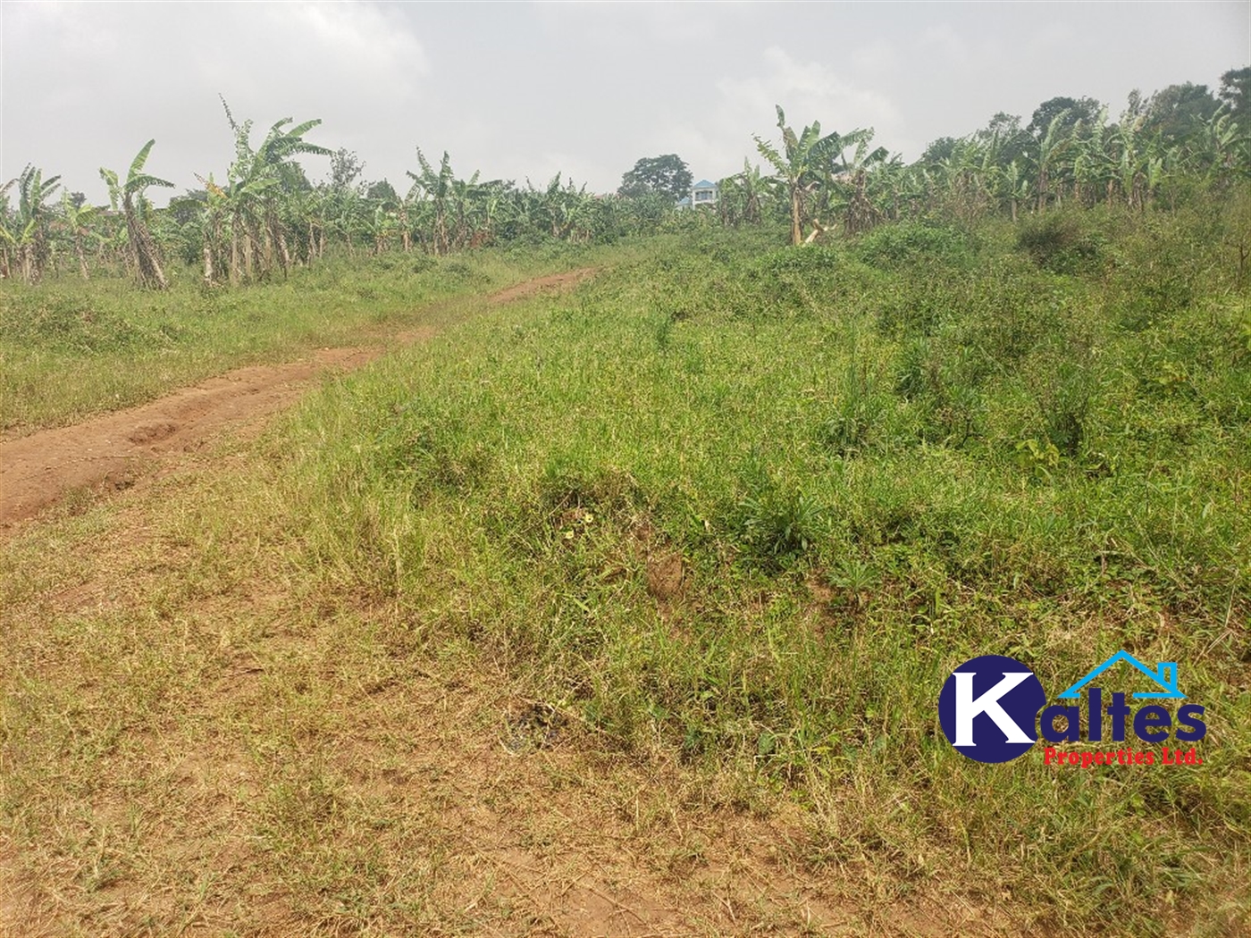 Residential Land for sale in Kwaaba Mukono