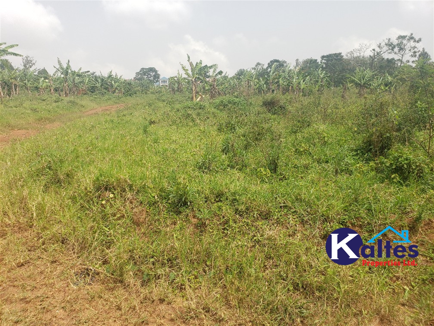 Residential Land for sale in Kwaaba Mukono