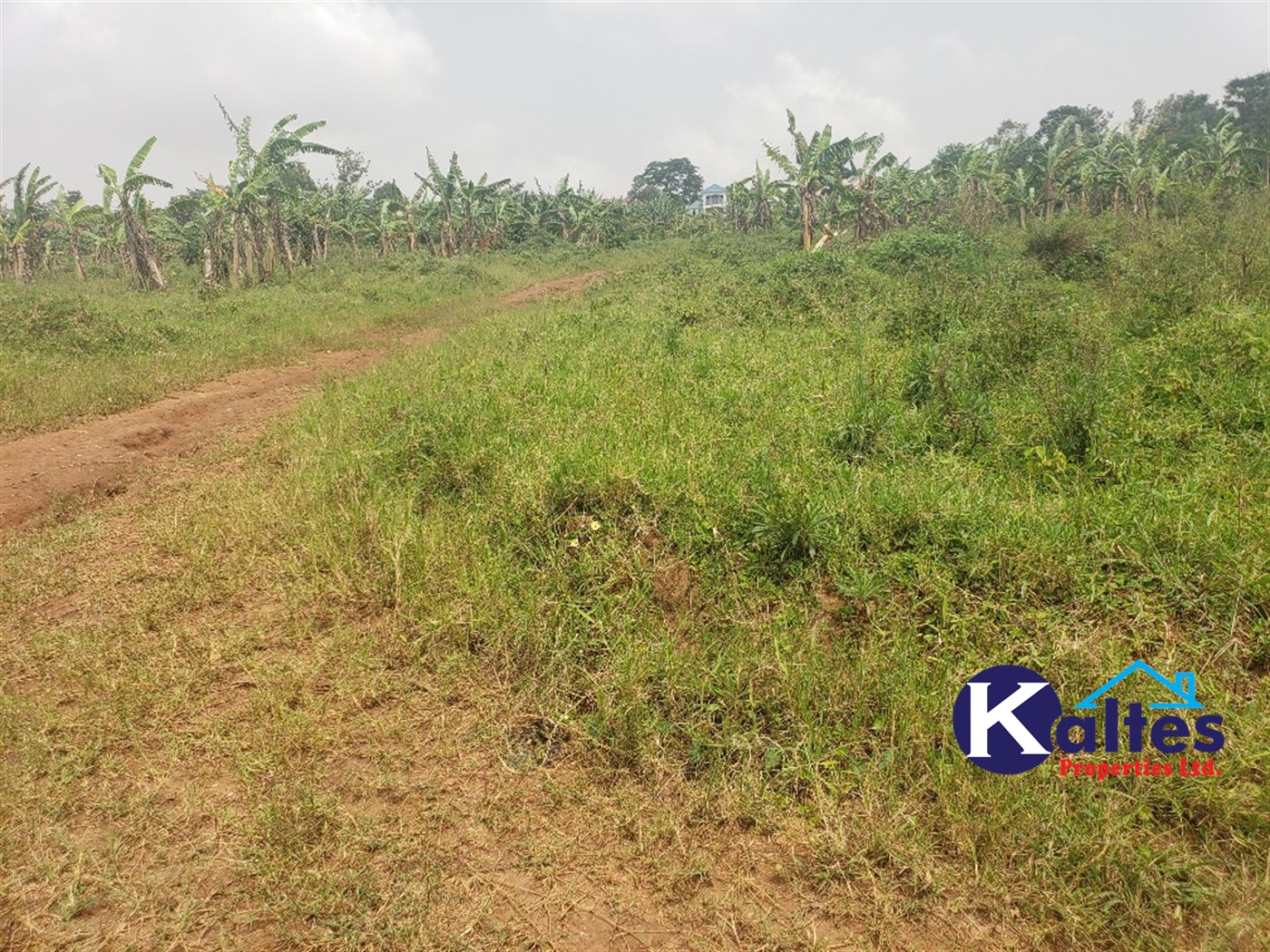 Residential Land for sale in Kwaaba Mukono