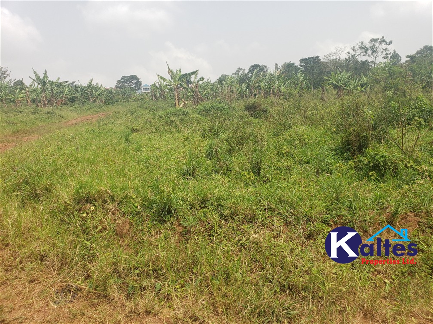 Residential Land for sale in Kwaaba Mukono