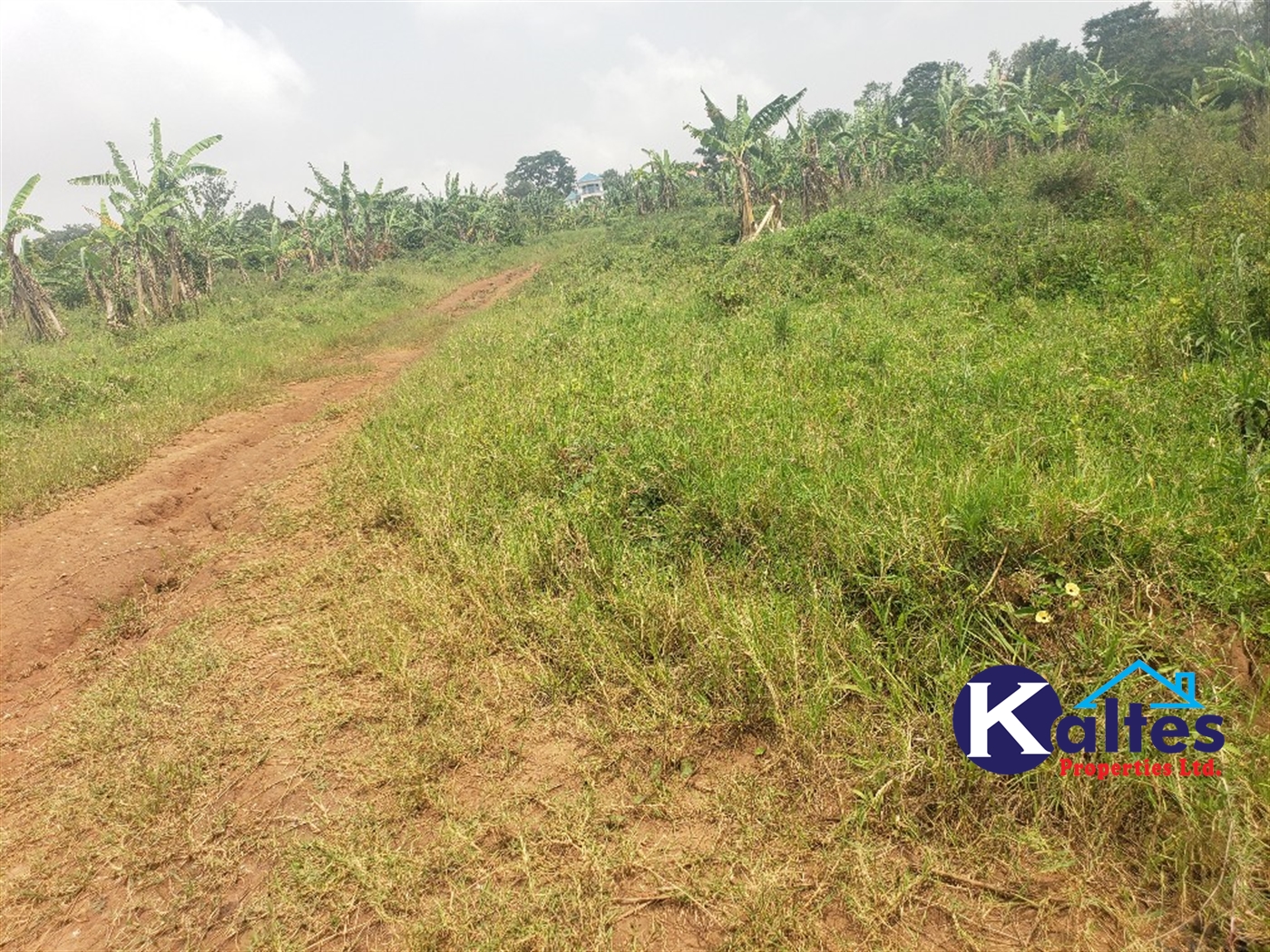 Residential Land for sale in Kwaaba Mukono