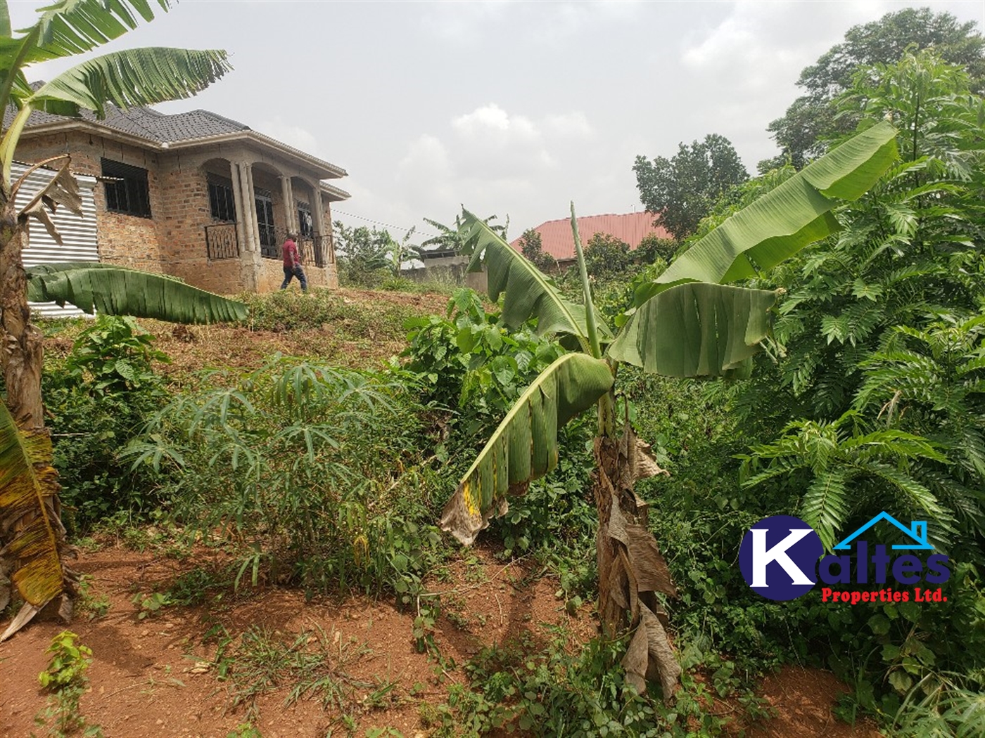 Residential Land for sale in Kwaaba Mukono