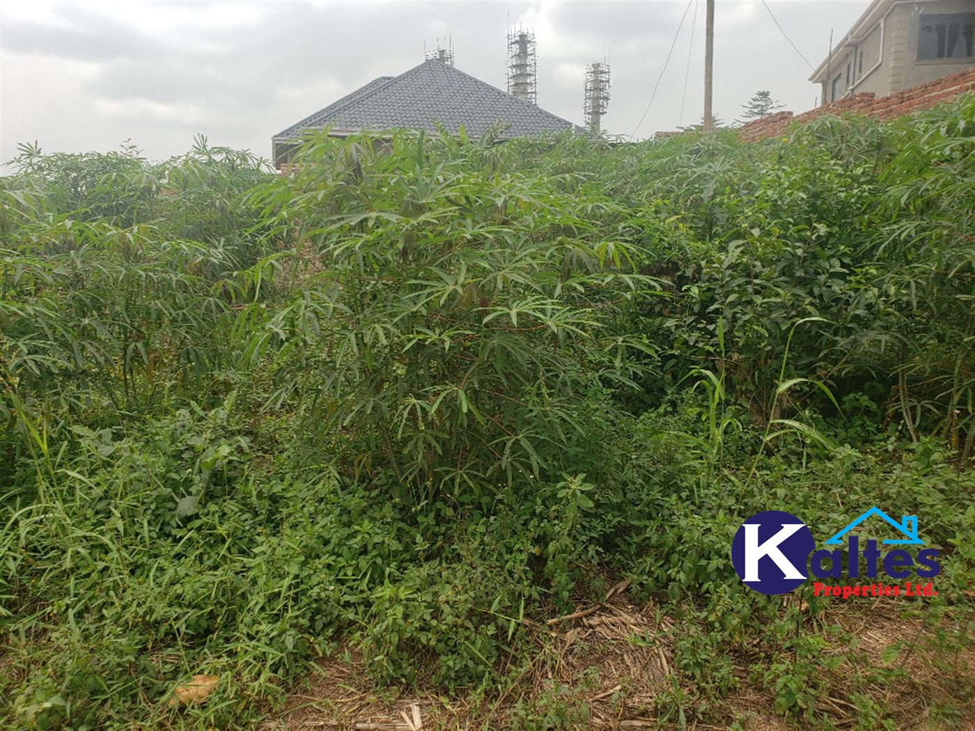 Residential Land for sale in Nakumbo Mukono