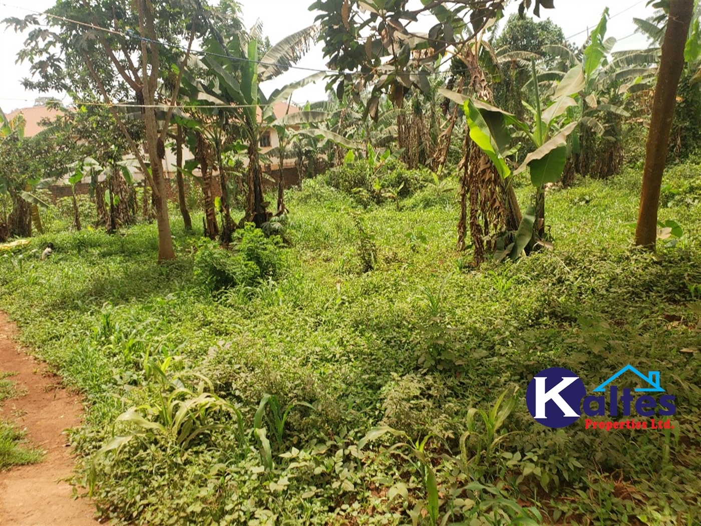 Residential Land for sale in Nakumbo Mukono