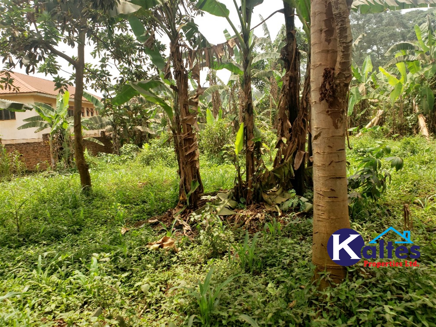 Residential Land for sale in Nakumbo Mukono