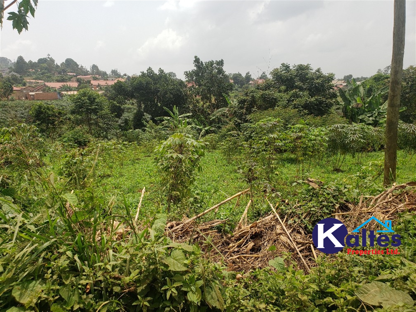 Residential Land for sale in Nakumbo Mukono